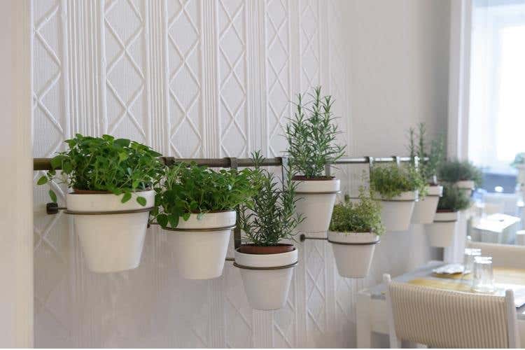 “Ginger” raddoppia a Roma 
Nuova apertura in piazza Sant’Eustachio