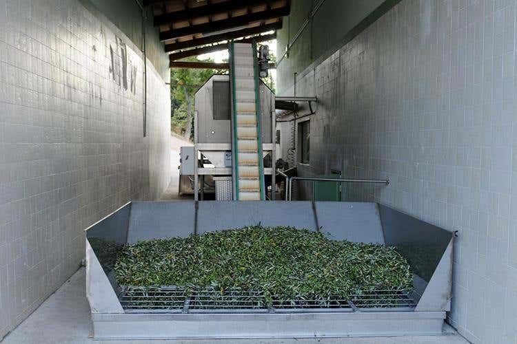 (Giulio Mannelli, evo di qualità 
in un'oasi di ospitalità in Umbria)