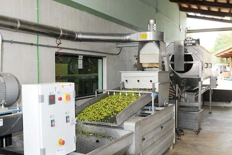 (Giulio Mannelli, evo di qualità 
in un'oasi di ospitalità in Umbria)