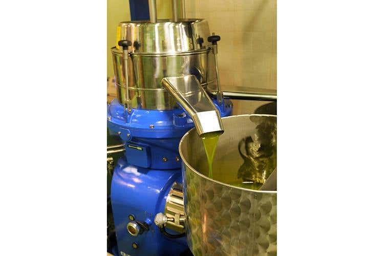 (Giulio Mannelli, evo di qualità 
in un'oasi di ospitalità in Umbria)