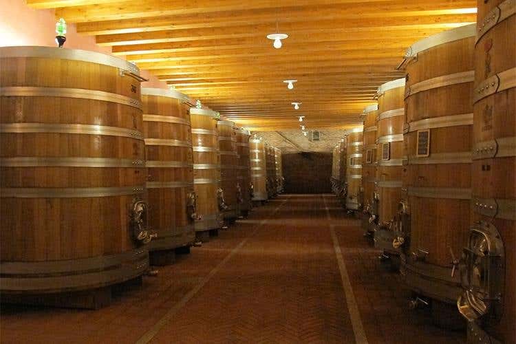 Gli otto crus dell'annata 2013 100 anni di Barolo per Sordo Giovanni