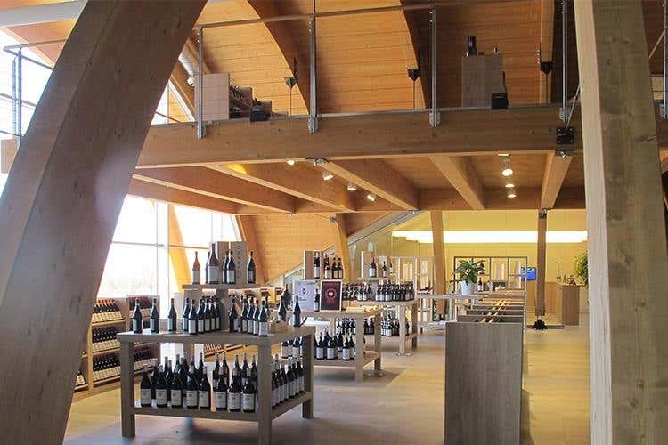Gli otto crus dell'annata 2013 100 anni di Barolo per Sordo Giovanni