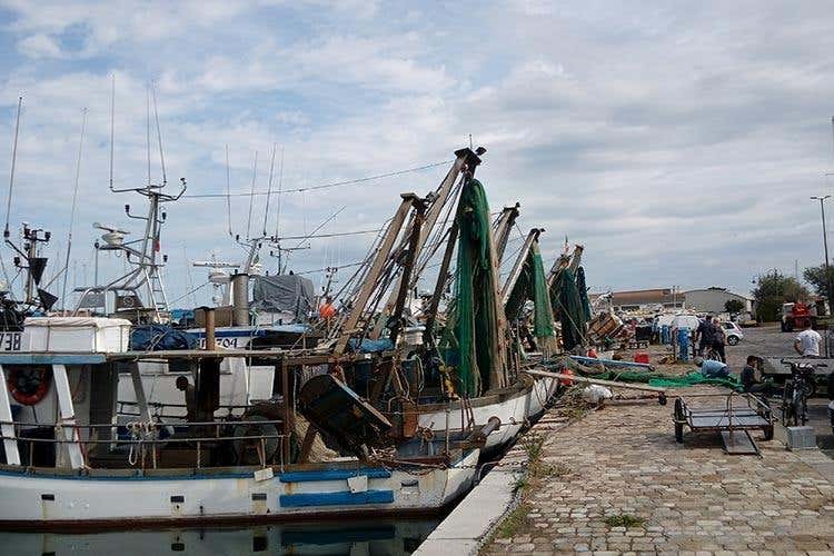 Grand Hotel Da Vinci 
I Batani vincono la sfida a Cesenatico