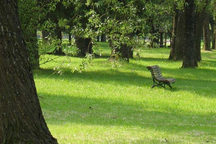 (Grand Hotel Imperial a Levico Terme 
La natura tra Forest therapy e benessere)