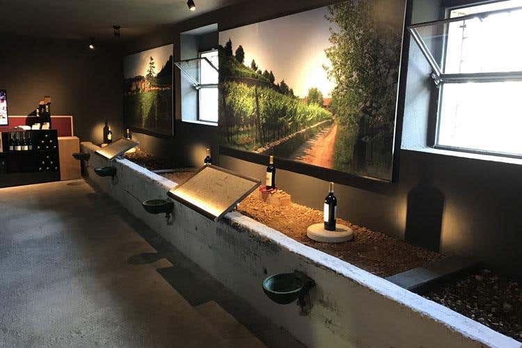 (Guerrieri Rizzardi, doppio decennale 
Festa per l'Amarone e per la Villa)