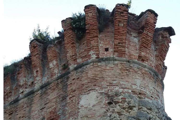 (Happy Bio 2018 a Punta Marina Terme 
Un connubio tra agricoltura e turismo)