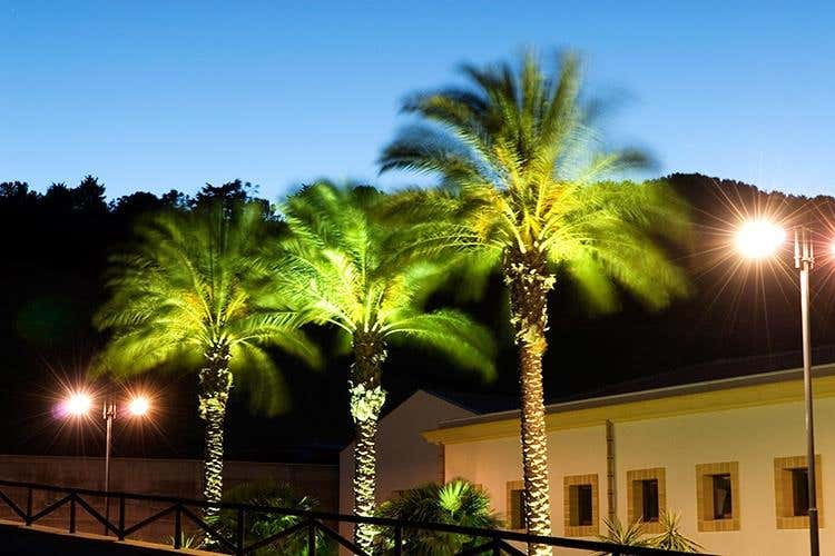 (Hedonis Feudo Arancio 
Un sorso di Sicilia)