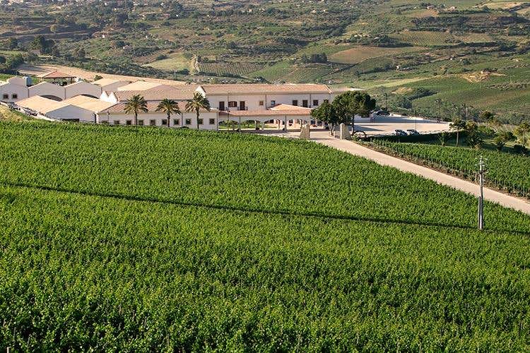 (Hedonis Feudo Arancio 
Un sorso di Sicilia)