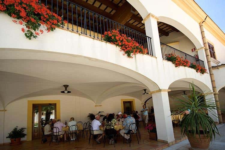 (Hedonis Feudo Arancio 
Un sorso di Sicilia)