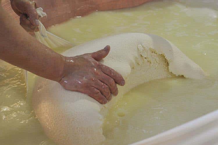 Hombre, Parmigiano d'eccellenza Il 90% destinato all'export