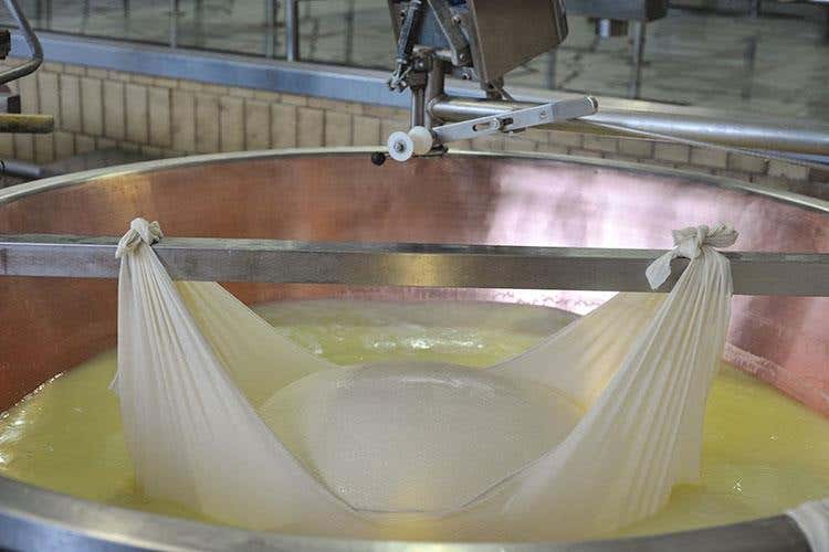 Hombre, Parmigiano d'eccellenza Il 90% destinato all'export