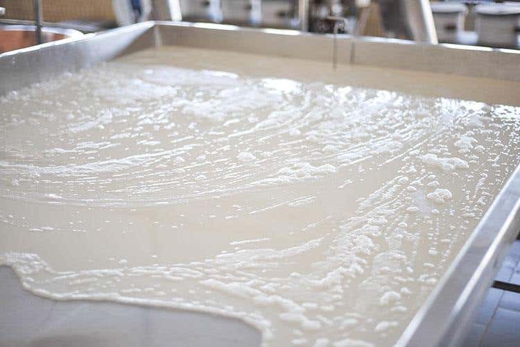 Hombre, Parmigiano d'eccellenza Il 90% destinato all'export