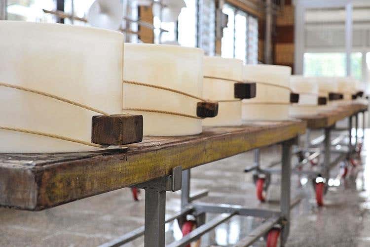 Hombre, Parmigiano d'eccellenza Il 90% destinato all'export