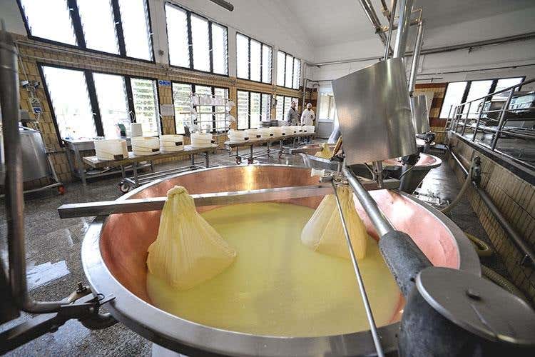 Hombre, Parmigiano d'eccellenza Il 90% destinato all'export