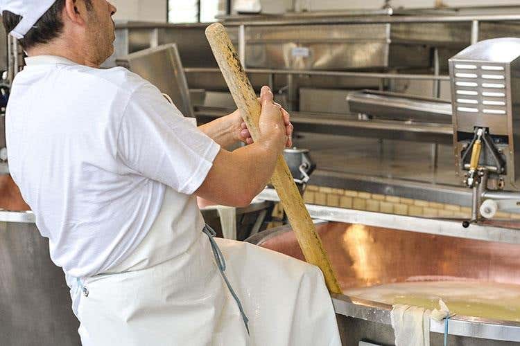 Hombre, Parmigiano d'eccellenza Il 90% destinato all'export