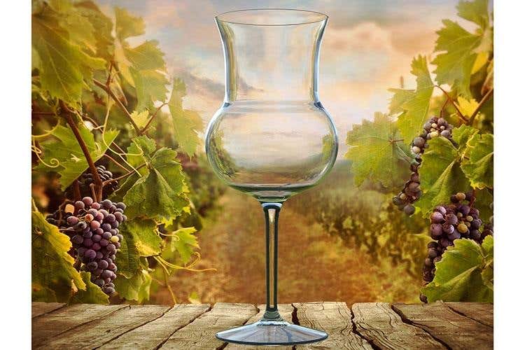 Wine experience (I nuovi calici soffiati di Goldplast 
Monouso tra design e sicurezza)