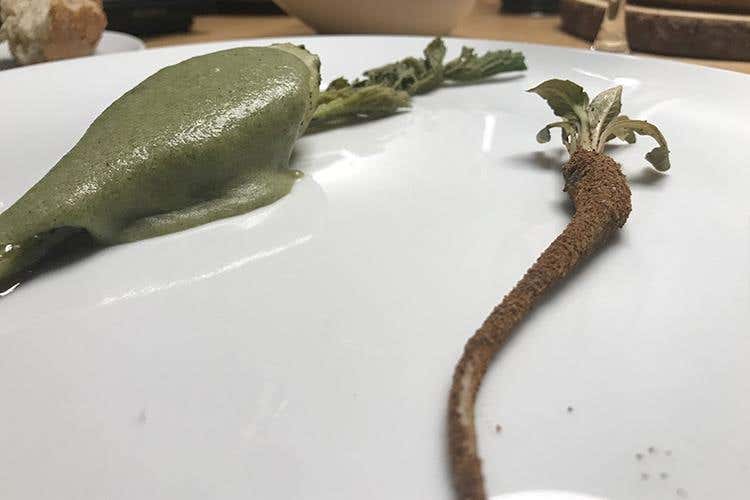 Le radici di Rose Salò (I segreti più intimi del gardesano 
in tavola al Ristorante Alle Rose di Salò)