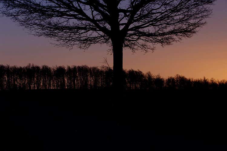 (I tartufi di Appennino Food 
dal centro Italia al resto del mondo)
