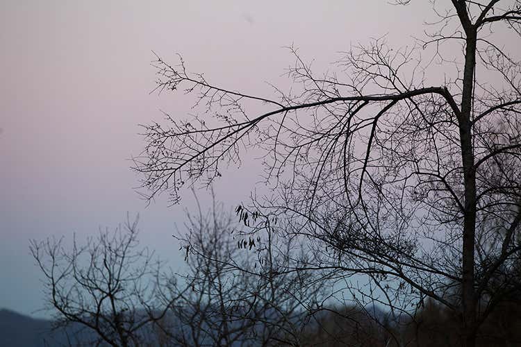 (I tartufi di Appennino Food 
dal centro Italia al resto del mondo)