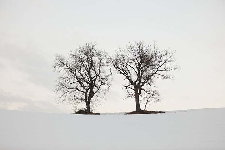 (I tartufi di Appennino Food 
dal centro Italia al resto del mondo)