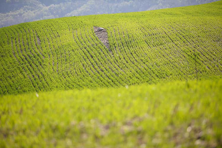 (I tartufi di Appennino Food 
dal centro Italia al resto del mondo)