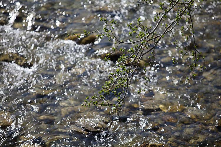 (I tartufi di Appennino Food 
dal centro Italia al resto del mondo)