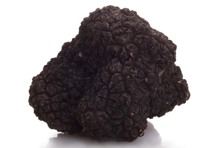 Tartufo nero estivo (I tartufi di Appennino Food 
dal centro Italia al resto del mondo)