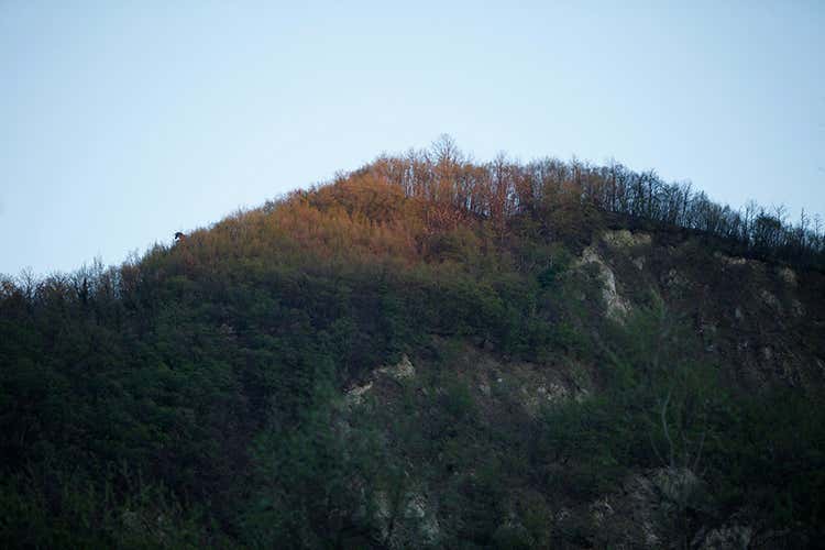 (I tartufi di Appennino Food 
dal centro Italia al resto del mondo)