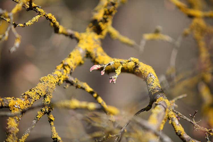 (I tartufi di Appennino Food 
dal centro Italia al resto del mondo)