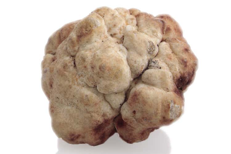 Tartufo bianchetto (I tartufi di Appennino Food 
dal centro Italia al resto del mondo)