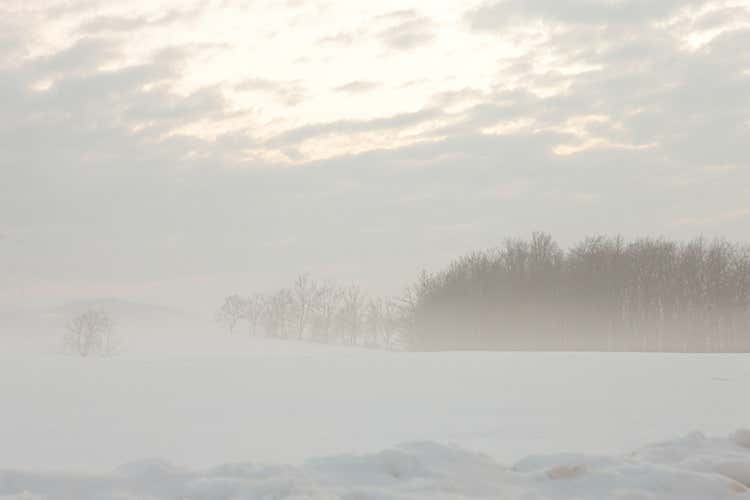 (I tartufi di Appennino Food 
dal centro Italia al resto del mondo)