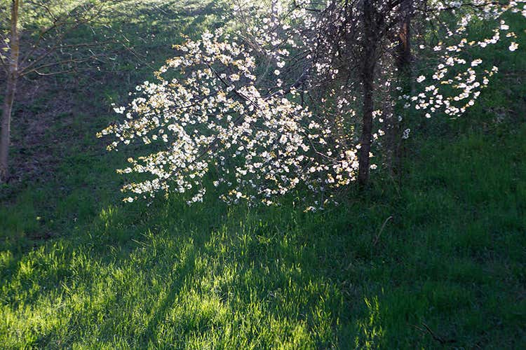 (I tartufi di Appennino Food 
dal centro Italia al resto del mondo)