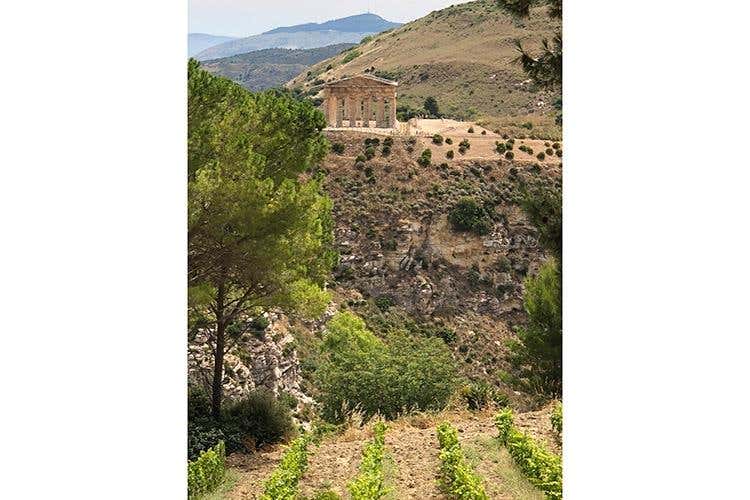 (I vini di Cantina Ermes 
Espressioni della biodiversità siciliana)