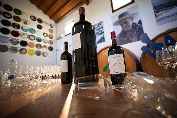 I vini di Cantina ErmesTenute Orestiadi Espressioni della biodiversità