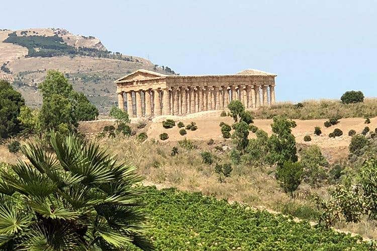 (I vini di Cantina Ermes 
Espressioni della biodiversità siciliana)