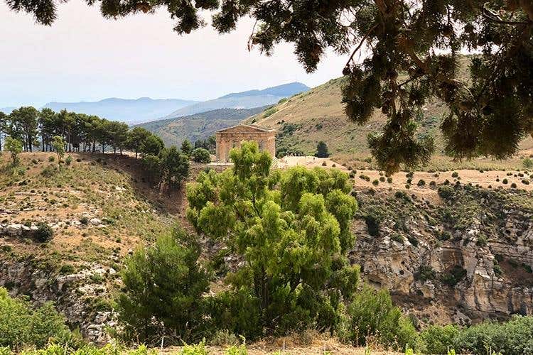 (I vini di Cantina Ermes 
Espressioni della biodiversità siciliana)