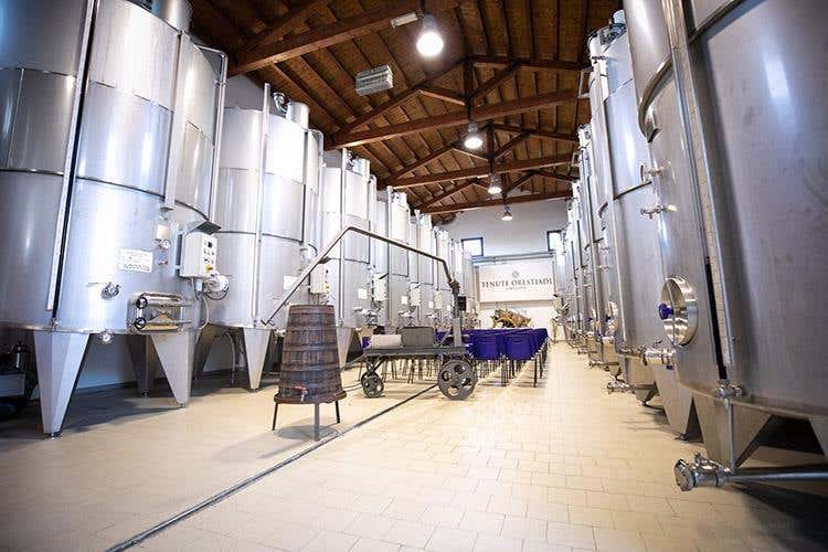 (I vini di Cantina Ermes 
Espressioni della biodiversità siciliana)