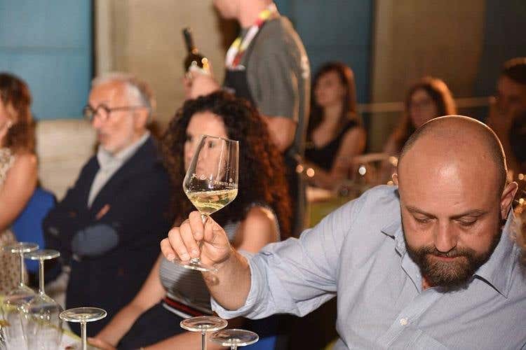 (I vini di Cantina Ermes 
Espressioni della biodiversità siciliana)