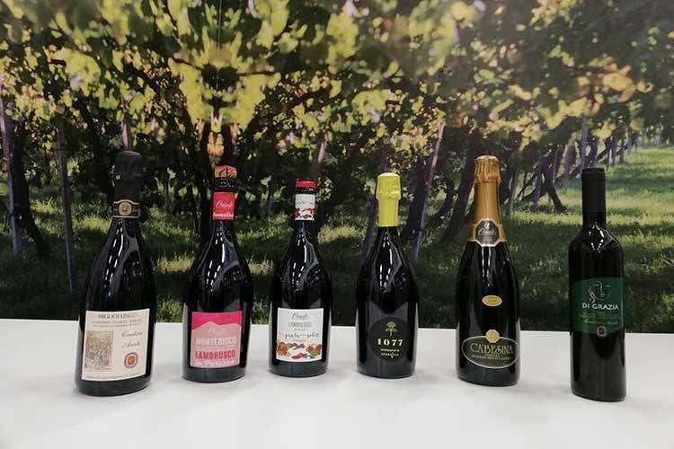 (I vini di Emilia Wine e Casali Viticultori 
si raccontano con la cucina milanese)