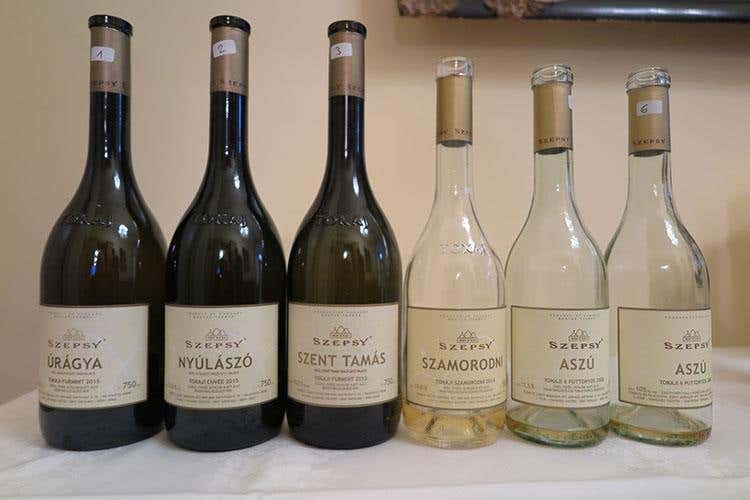 (I vini di Villa d’Este Wine Symposium 
Seminari e degustazioni da 23 Paesi)