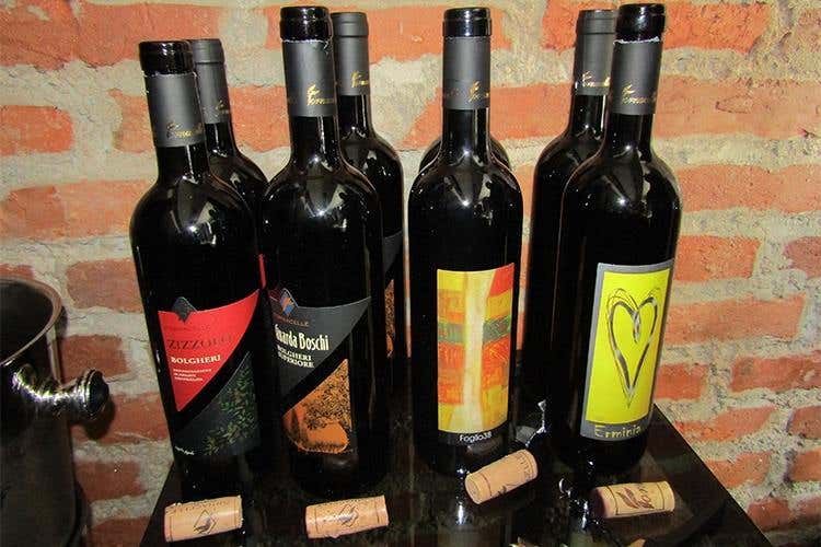 I vini Fornacelle, nella regione di Bolgheri 
Frutto di un'autentica cultura contadina