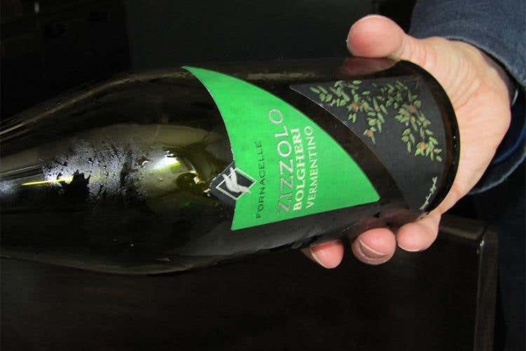 I vini Fornacelle, nella regione di Bolgheri 
Frutto di un'autentica cultura contadina