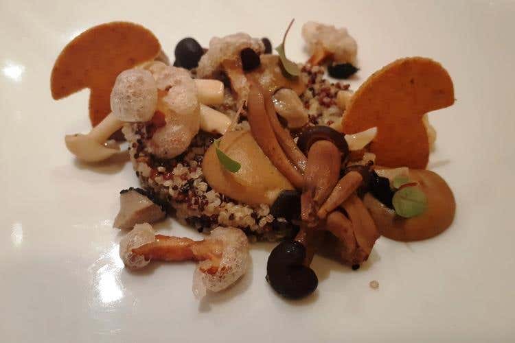 Funghi nel Bosco (Il Convivio di Madonna di Campiglio 
La cucina giapponese nelle Dolomiti)