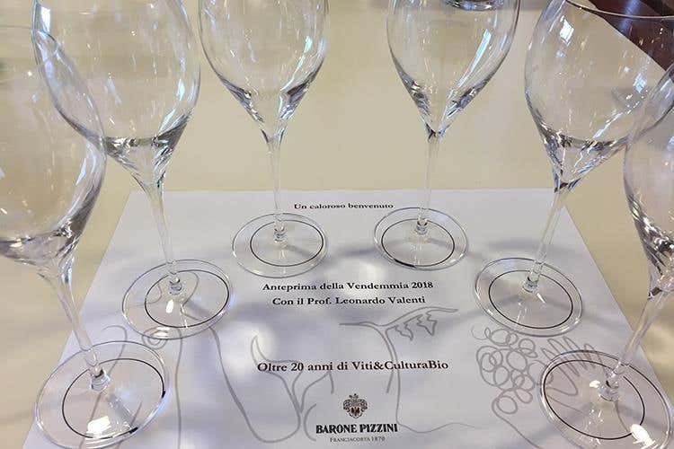 (Il Franciacorta “bio” di Barone Pizzini
La qualità del vino legata al territorio)