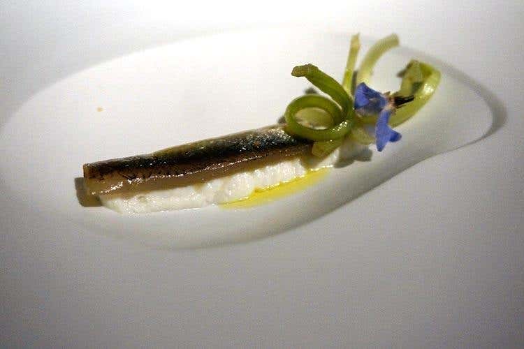 Entrée alice e burrata (Il lato gourmet di Poggio Le Volpi
Apre Barrique, firma Oliver Glowig)