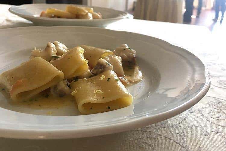 Paccheri di Gragnano, pescatrice e limone della Costiera amalfitana (Il lunch di Matteo Sangiovanni Da Paestum alla tavola di Euro-Toques