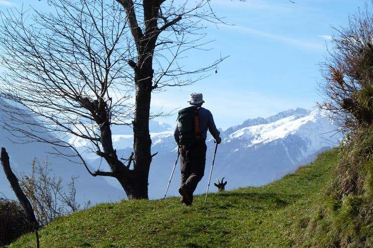(Il lusso silenzioso del Garberhof 
tra relax e rituali di purificazione)