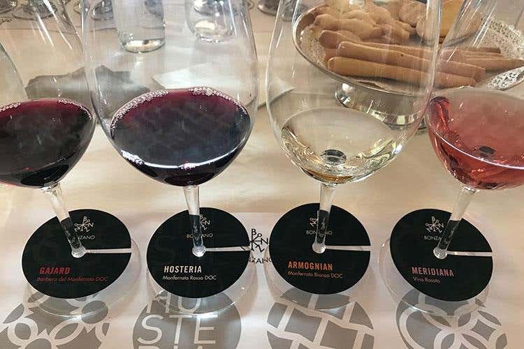 (Il Monferrato enologico alza la testa 
La sfida virtuosa della famiglia Bonzano)