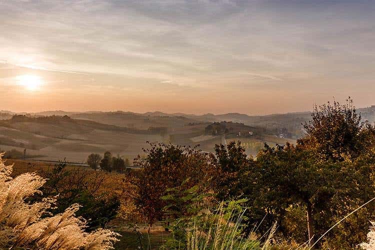 (Il Monferrato enologico alza la testa 
La sfida virtuosa della famiglia Bonzano)