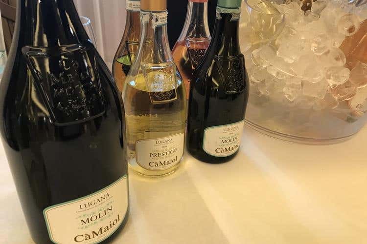 (Il mosaico di Santa Margherita 
In degustazione le cantine del gruppo)